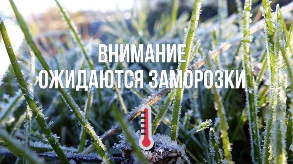 ЗАМОРОЗКИ